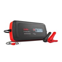 Зарядное устройство TELWIN T-CHARGE 26 EVO 12V/24V 807595